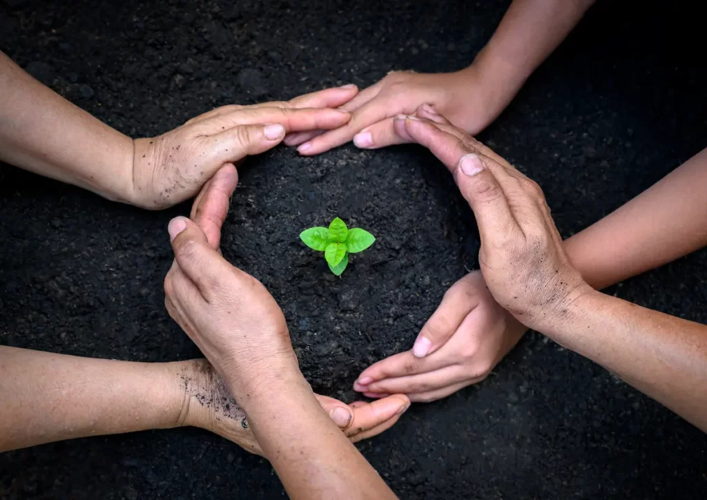 Mécénat environnemental : agir pour la planète